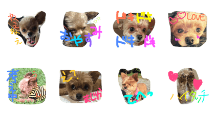 mocochans