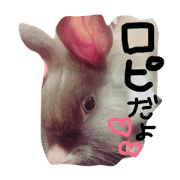 USAGI NO ROPI