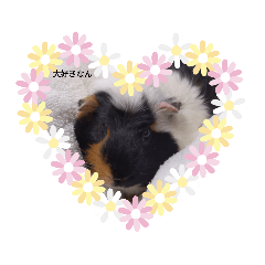 mini_20210718113048