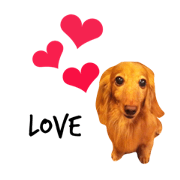 mocha sticker