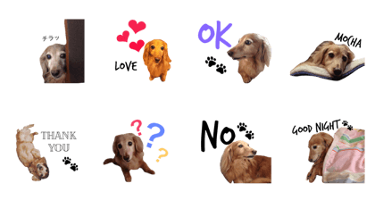 mocha sticker