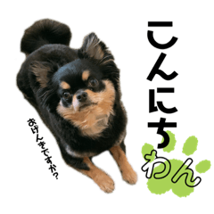 tomomi_20210717231700