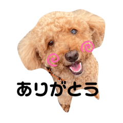 Risa_20210717230545