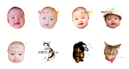 yamacho's diary