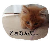 kawaii doubututati