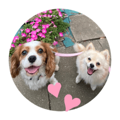kuu_20210717222505
