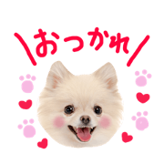 Cute dog Handwriting