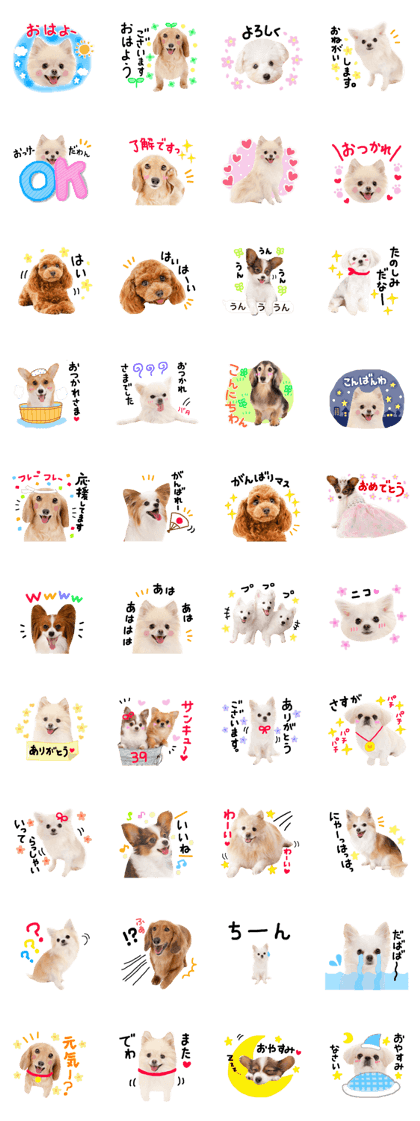 Cute dog Handwriting
