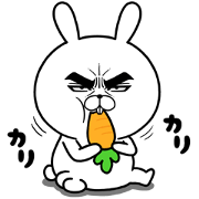 Attractive eye's rabbit