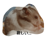 hamsterStamp