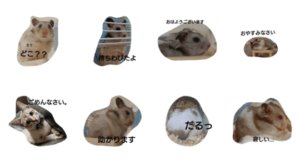 hamsterStamp