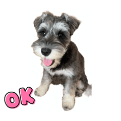 momoko_20210718004502