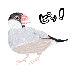 鳥 Lineクリエイターズスタンプまとめ Stamplist 鳥 Lineクリエイターズスタンプまとめ Stamplist