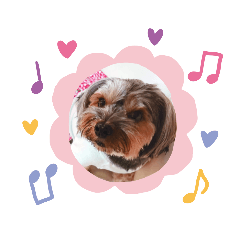 momoko_20210718143555