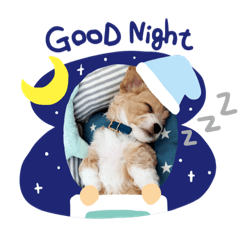 tomomi_20210718142847