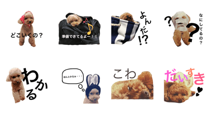 noalife