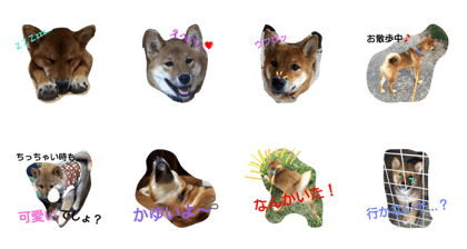 Daikichi's face stamp
