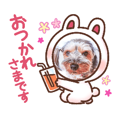 momoko_20210718144310