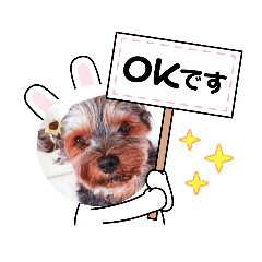 momoko_20210718145803