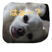 My choco