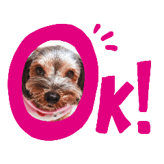 momoko_20210718151215