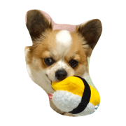 love&ume
