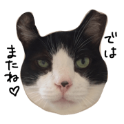 My name is gyuuchan