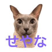 His name is Lagoon3