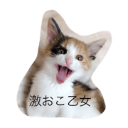 Ponsandesu otomehen