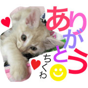 chikuwa.miii