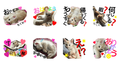 chikuwa.miii