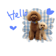 coo & poco 2
