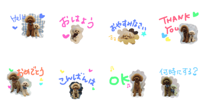 coo & poco 2