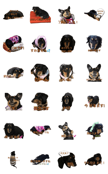 smile Dachshund ver.1.1