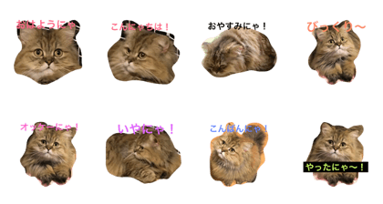 mychami part2