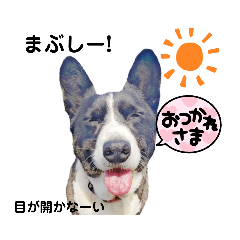 Chie_20210718160406