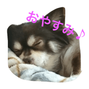 chacha.com