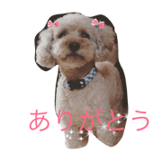 putachan