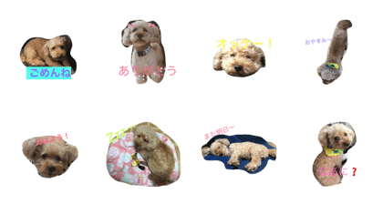 putachan