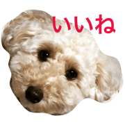 Cuong
