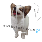 kapuchan