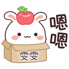 嬌嬌兔姓名貼_雯雯專用