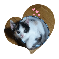 ayumi_20210718134010