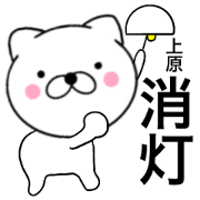 Name cat uehara