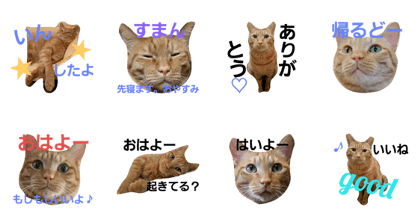 yu-ki only