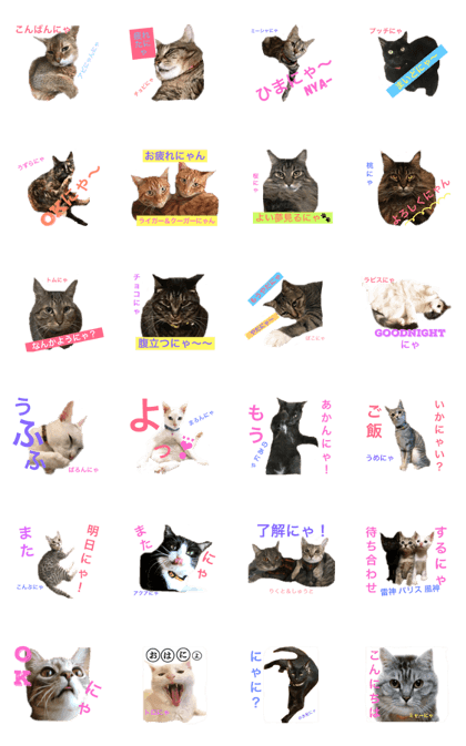 myah-cat