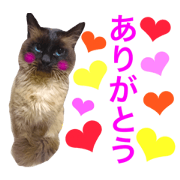 zemkun