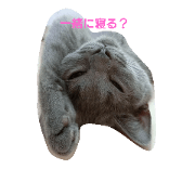 yutachan