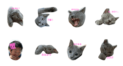 yutachan