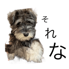 momoko_20210718180411